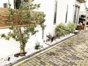 植栽スペースをキレイに。