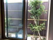 和室から見える坪庭