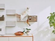 マグネット脱着式キャットウォール「猫壁」