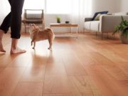 犬にやさしい天然木フローリング
