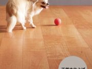 愛犬にやさしい防音フローリング
