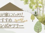 おすすめシンボルツリー