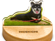 「Live Natural forDog」