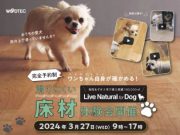犬に優しい天然木フロア体験会