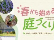 さみしいお庭を『下草』で賑やかに！