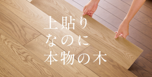 %e3%82%b9%e3%82%af%e3%83%aa%e3%83%bc%e3%83%b3%e3%82%b7%e3%83%a7%e3%83%83%e3%83%88-2025-11-20-125821