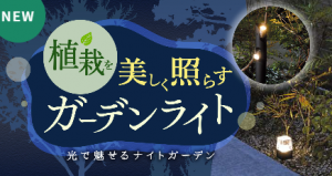 %e3%82%b9%e3%82%af%e3%83%aa%e3%83%bc%e3%83%b3%e3%82%b7%e3%83%a7%e3%83%83%e3%83%88-2025-12-15-110800