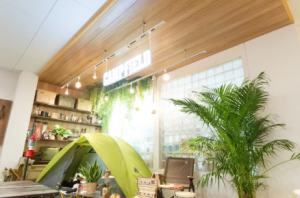 不燃天井材『グラビオ羽目板V』（天井・壁に採用）