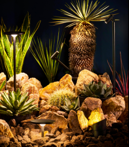 %e3%82%b9%e3%82%af%e3%83%aa%e3%83%bc%e3%83%b3%e3%82%b7%e3%83%a7%e3%83%83%e3%83%88-2026-02-20-151131