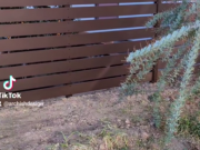 %e3%82%b9%e3%82%af%e3%83%aa%e3%83%bc%e3%83%b3%e3%82%b7%e3%83%a7%e3%83%83%e3%83%88-2026-03-30-144504